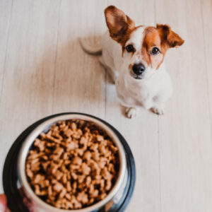 40 lb Bag of Pet Food